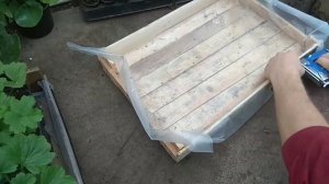 Поддоны для рассады своими руками