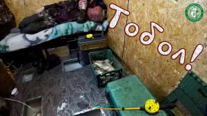 ПО КАЙФУ ТАК ЛОВИТЬ В КОМФОРТЕ! НАТАСКАЛИ ПОЛ ЯЩИКА НА ХЛОПУШКИ СУДАК, ЛЕЩИК, РЫБАЛКА В КАЗАХСТАНЕ!