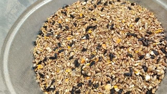 Гранулятор Компакт 150,матрица 3 мм,4 кВт,220 В через частотник. Обзор нагрузки на сеть.