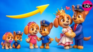 Щенячий патруль и Маршалл. Залипательное видео. Мультфильм для детей и малышей. Анимация 357