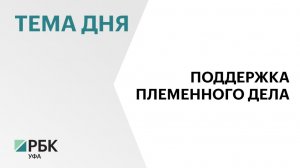 Более ₽8 млн направят на проведение молекулярной генетической экспертизы племенного молодняка в РБ