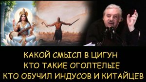 ✅ Н.Левашов. Какой смысл в цигун. Кто такие оголтелые. Кто обучил индусов и китайцев