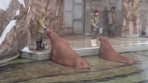 video_20260221_094908