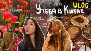 Жизнь И Учеба в Китае 🇨🇳 || Таобао, китайская еда, парк // влог