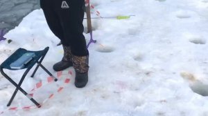 поимка форели на силикон