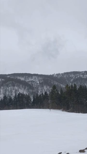 ❤️A💙R🧡M✝️E📖N✊I🗻A🇦🇲. #armenia #music #cavdtanem #steps #iarmen