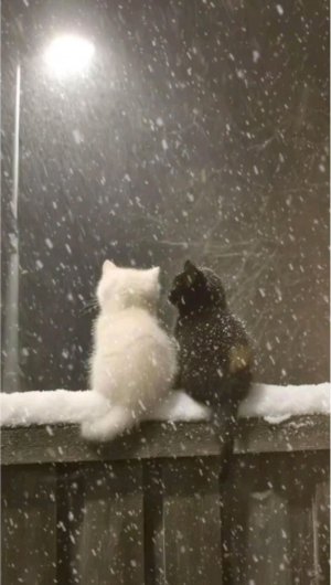 приветик🎀