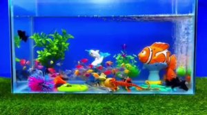 Рыбки в аквариуме