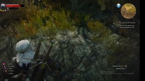 Ведьмак 3: Дикая Охота. 7 серия. Кладбищенская Баба.