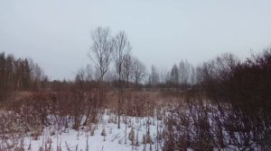 пошли с другом в лес