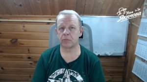 Тихая смена матки — чем она отличается от роения и почему это хорошо для пчеловода