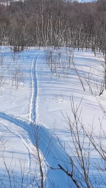 В ожидании лета