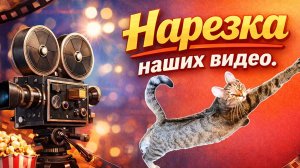 Нарезка наших видео.