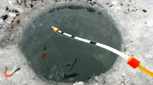 Рыбалка Удалась. Приехали на Водохранилище и Сделали Заброс. Зимняя рыбалка 2026 Онлайн Без Рекламы