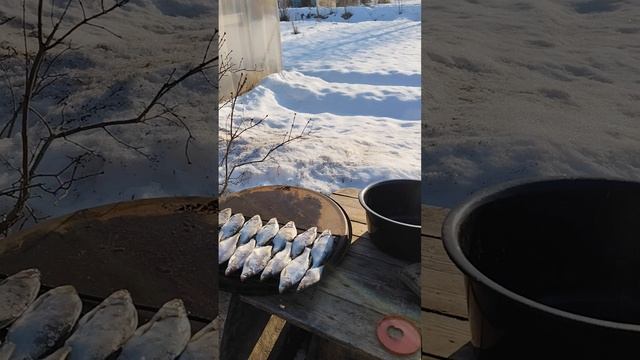 Дачные хитрости( начало) .