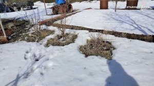 Сначала планы - работа потом