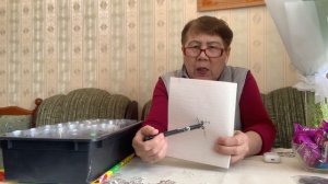 По сколько пикировать викторию, в один стакан.