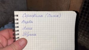 Саня Новиков /Всё подготовил к обработке. Помогите определиться.