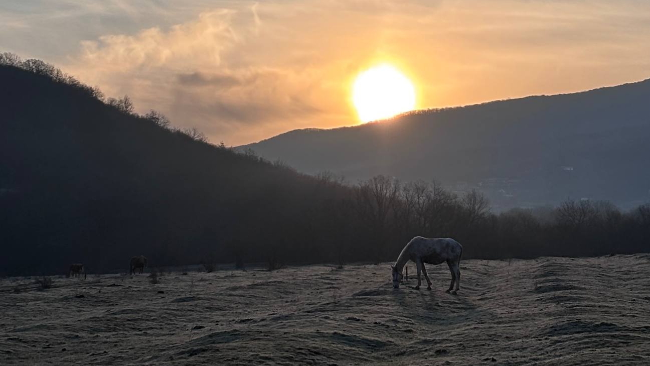 Наши новости и маленькие радости