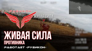 Живая сила противника. По боевикам ВСУ «Рубикон» продолжает охоту на всушников