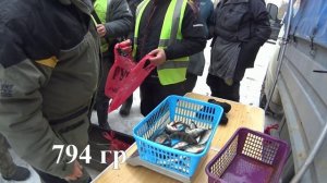 Турнир Воронежской области по ловле на мормышку со льда 7 марта 2026