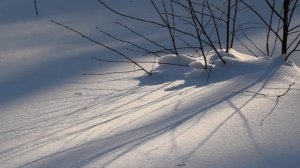 На исходе февраля..