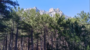 9 марта 2026 г. Тропа Алупка-Исары #ялта #ялта2026 #алупка