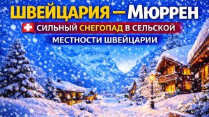 🇨🇭 Сильный снегопад в сельской местности Швейцарии - Расслабляющая прогулка по снегу❄✔
