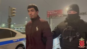 Полиция вместе со служебными собаками проверила сотни машин