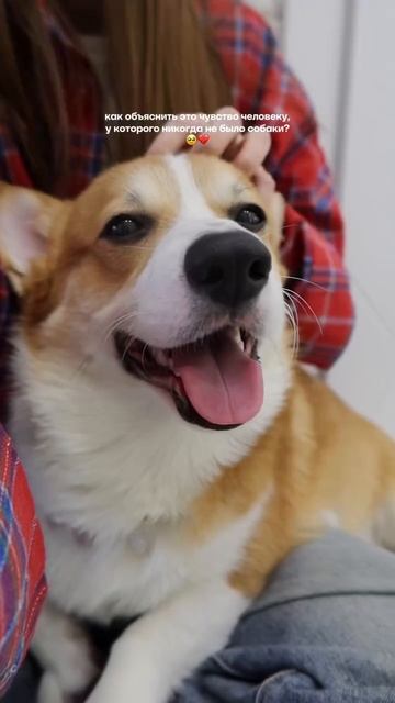 Рубашка в клетку 🤍 арт WB: #237385620