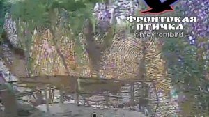 Хищные птички жгут технику ВСУ.