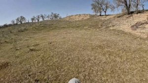 Американские горки на JHL ZR 8I