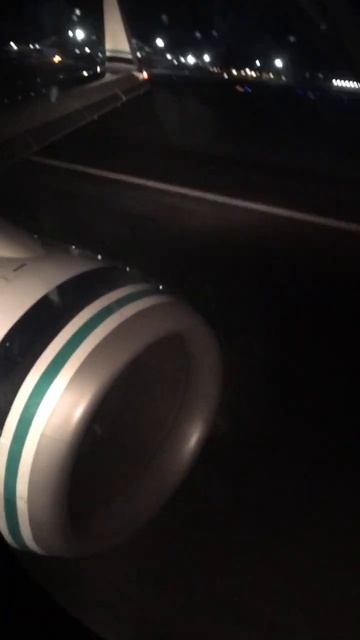 Приземление в Палм-Спрингс.