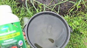 7 ТОМАТОВ КРУПНОПЛОДНИКИ с большим урожаем и потрясающим вкусом, сплошное томатное мясо