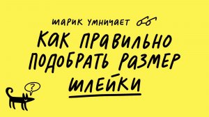Как правильно подобрать размер шлейки