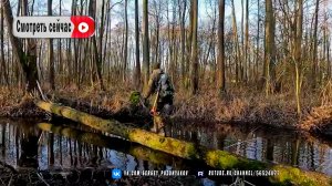 Как я построил плотину для рыбалки и жил в лесной хижине. Настоящее приключение для души