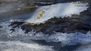 🎥🦋 Mудрость 👮 Цитаты 🌸🦋 Последний Лед на реке льдинки, пение Птиц, шум реки, скоро ВЕСНА.🍇🌹