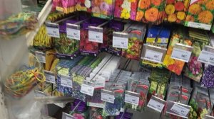 Обзор новинок в Лемана Про