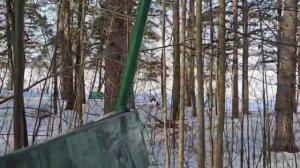 Взмывая выше ели