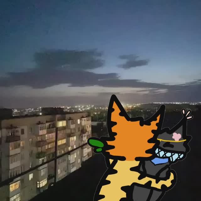 Остролист чуть не уронил Алую Розу! Опять пубертат!🥚 Реакция родни на это коты воители Темная Ночь