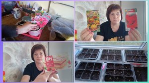 Рассада всходит.Душа радуется