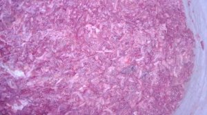 Еда/Суп/Тушёные овощи/Хинкали/Свекольный салат.