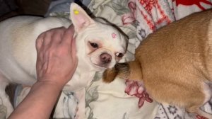 Всем наидобрейшего утречка и чудесного начала дня.