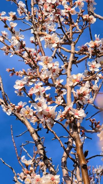 Пробуждение!