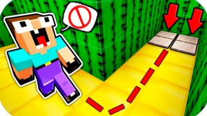 НУБ ЗАТРОЛЛЕН НЕВИДИМЫМ ПРО Майнкрафт, но Лабиринт из Кактуса Ловушка