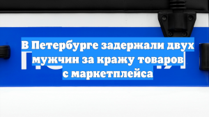 В Петербурге задержали двух мужчин за кражу товаров с маркетплейса