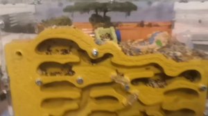 Муравьи 🐜🐜