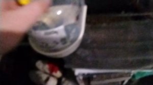 попугай ❌💉🌡️