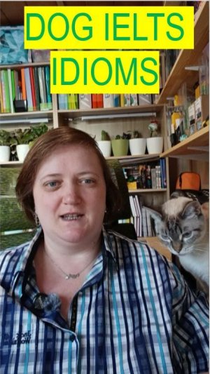 20 DOG IELTS IDIOMS