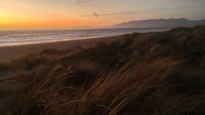 Ocean beach San Francisco  океанский пляж в Сан Франциско 2026 март